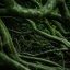 读者「旧船票根」的圆形头像占位插画